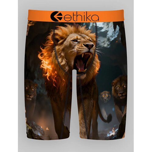 Ethika The Pack Boxershorts assorted Slike