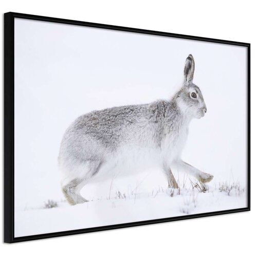  Poster - Escape in the Snow 30x20 Cene