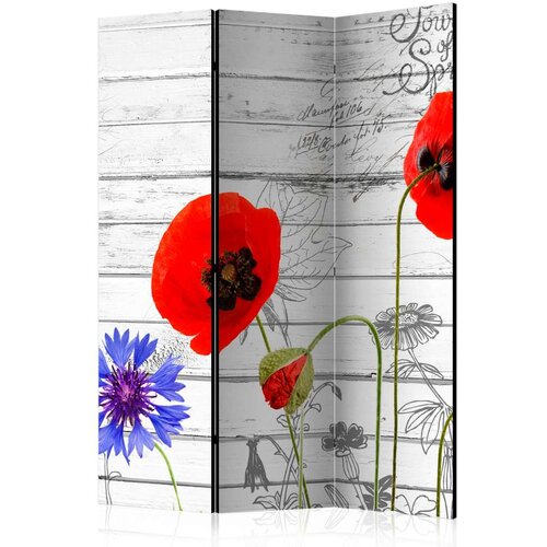  Paravan u 3 dijela - Wildflowers [Room Dividers] 135x172 Slike