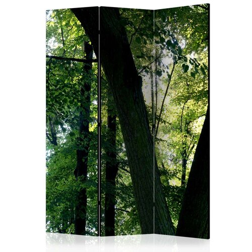  Paravan u 3 dijela - Spring in the Park [Room Dividers] 135x172 Slike