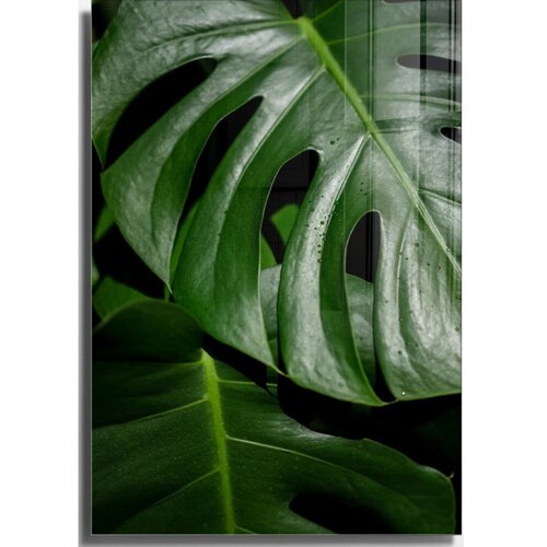 Wallity Steklena slika 50x70 cm Monstera &amp;ndash; Wallity Slike