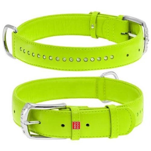 CLR WD 49 cm -Ogrlica za pse 38 Cene