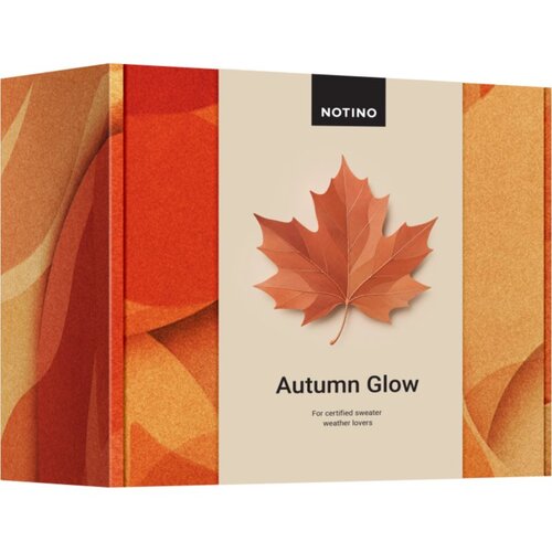Beauty Box Notino &ndash; Autumn Glow poklon set za žene Cijene