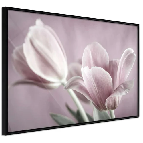  Poster - Pastel Tulips I 45x30