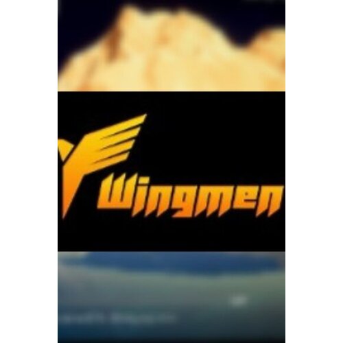  WingMen Steam Key GLOBAL Cene
