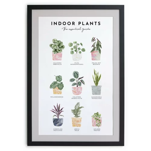 Really Nice Things Stenska slika v okvirju Indoor Plants, 30 x 40 cm