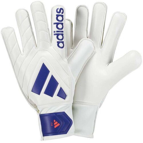 Adidas golmanske rukavice copa gl clb za muškarce Cene