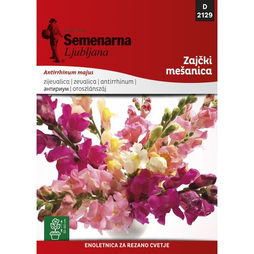 Semenarna Ljubljana ZAJČKI ME&amp;Scaron;ANICA Slike