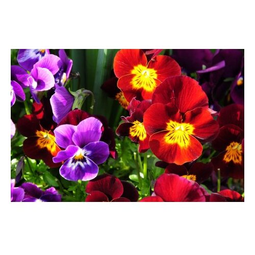  CT-5109 multicolor bathmat set (2 pieces) Cene