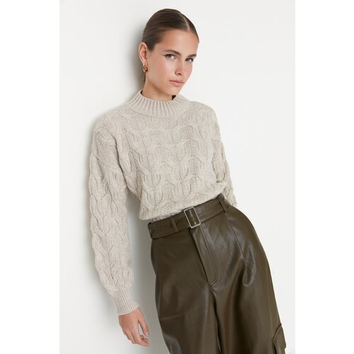 Trendyol Stone Crop Standing Collar Knitwear Sweater Cene