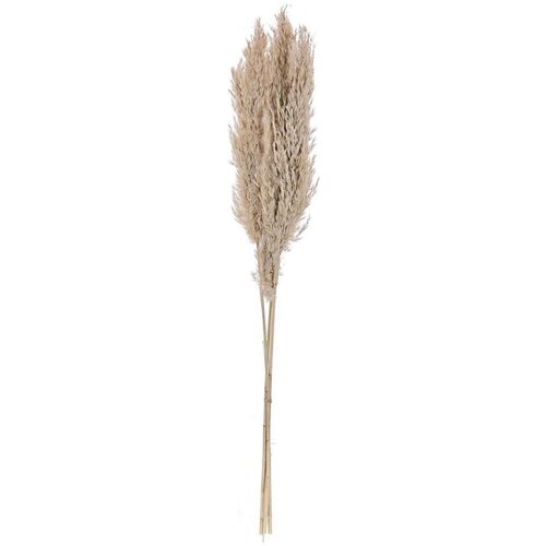 Eglo 428082 - Su&scaron;eno cveće GUIPOS 85 cm bež Cene