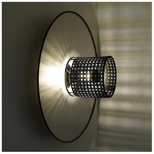  Duolla - Zidno svetlo TOKYO RATTAN 1xE27/15W/230V, prečnik 50 cm, srebrna/crna Cene