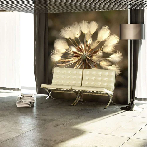  tapeta - Summer time - dandelion 350x270