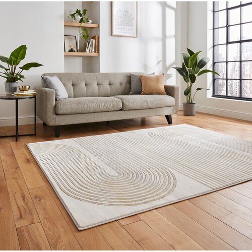 Think Rugs Svetlo siva/v zlati barvi preproga 80x150 cm Apollo &amp;ndash; Slike