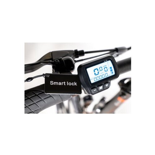 Ms Energy eBike i20 Orange Black_REG Cene