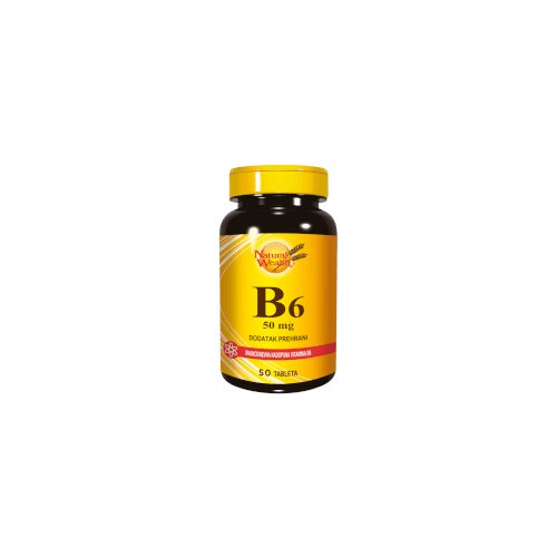 Natural Wealth Vitamin B6 | Eponuda.ba