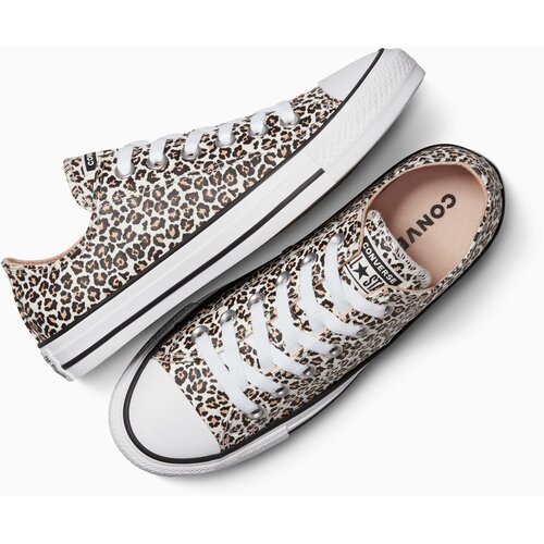 Converse Ženske patike chuck taylor all star leopard Slike