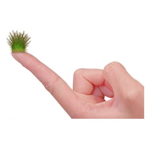 Grupo Erik imitacija žbunja za dekoraciju thorny spiky scrub tamnozelena Cene