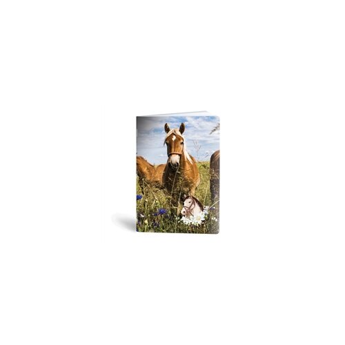 Rucksack Only Bilježnica A6 Horse, 40 listova Slike
