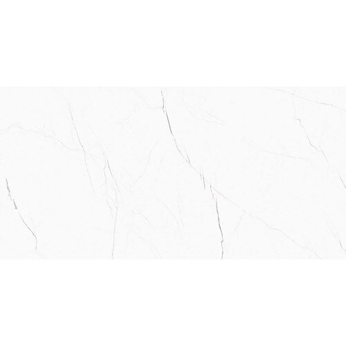 Halcon barbados White Pulido 60x120cm Slike