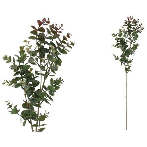  EUKALIPTUS 81CM MORSKI PVC Cene