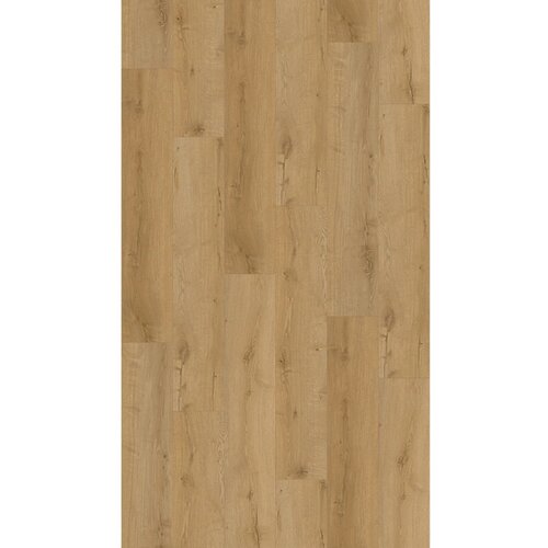 DECOFLOORING Vinilna tla hrast Farum na klik z integrirano zvočno izolacijo Cene