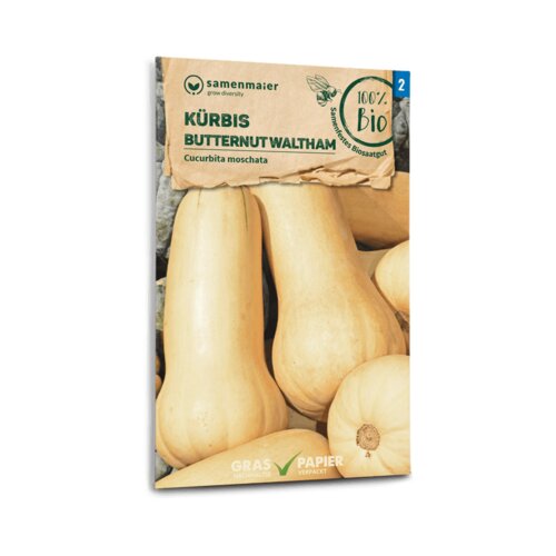 Samen Maier Bio buče "Butternut" Cene