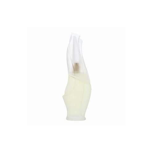 Dkny Cashmere Mist toaletna voda za žene 100 ml Slike