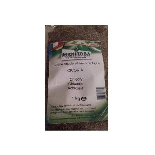 Manitoba seme cikorije 1kg Cene