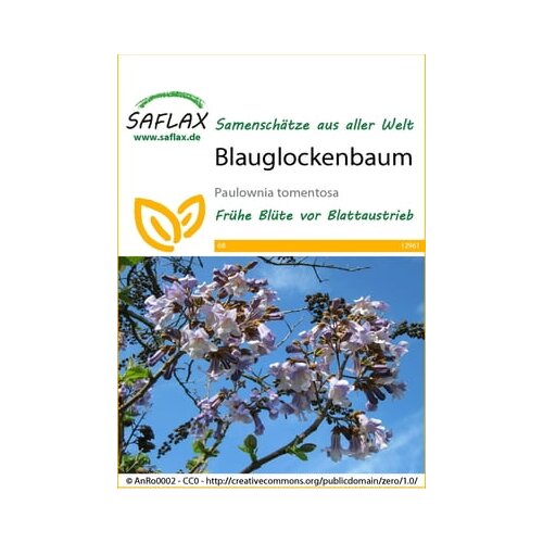 Saflax Pavlonija Cene
