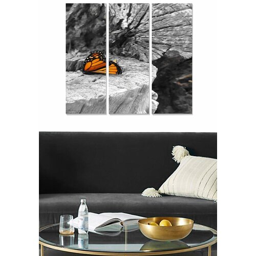 Wallity set slika MDFSBO15, 3 dijela Cene