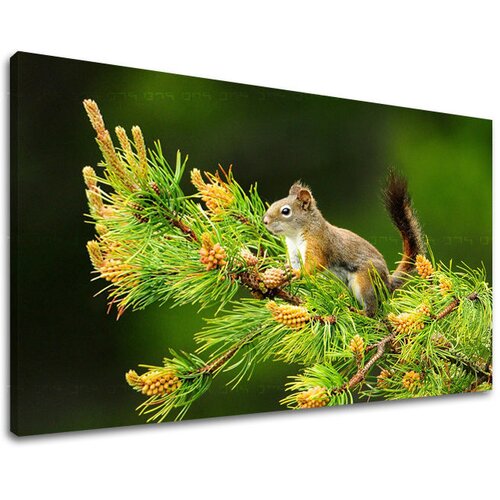  Slike na platnu životinje (moderne slike na platnu) Cene