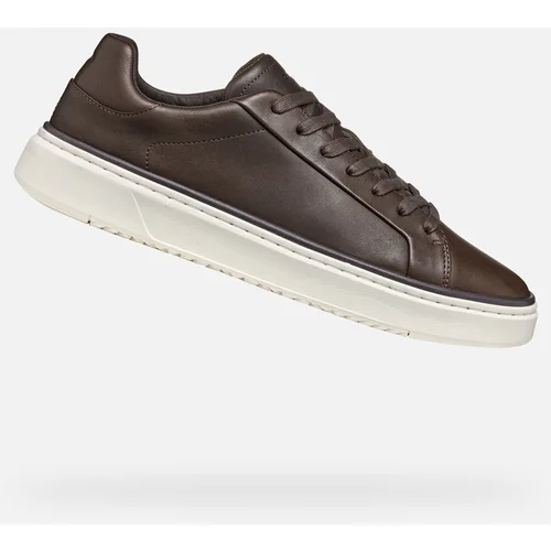 Geox Brown men's sneakers Zackerty - Men's