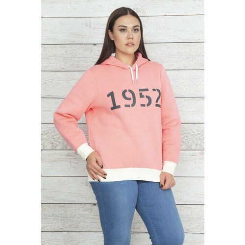 Şans Women's Large Size Pink Hooded Sweatshirt with Ribbon Inside Cene