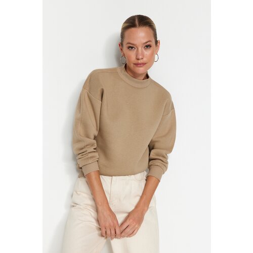 Trendyol Mink Thick, Fleece Inside, Standing Collar Relaxed/Comfortable, Knitted Sweatshirt Slike