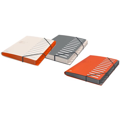 Oxford Mapa for Business, DIN A4, predelki 1-12, siva, (21651853) Slike