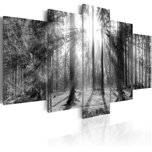  Slika - Forest of Memories 100x50