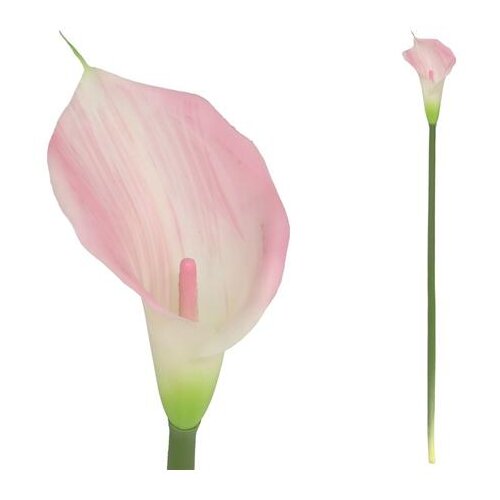  CVIJEĆE KALA 72 CM ROZA PVC Slike