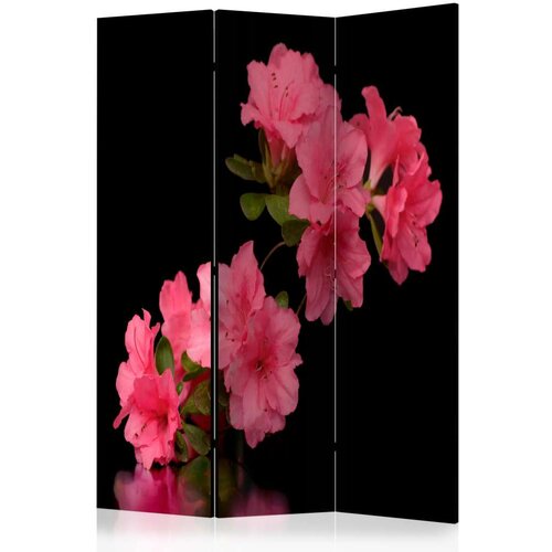  Paravan u 3 dijela - Azalea in Black [Room Dividers] 135x172 Slike