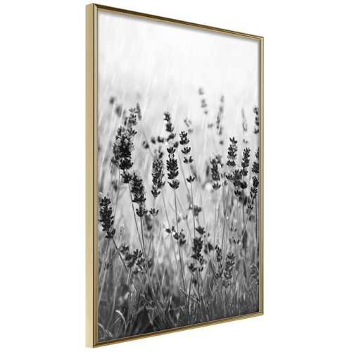  Poster - Shadow of Meadow 20x30 Slike