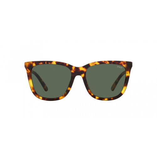 POLO naočare za sunce ph 4201U 607871 Slike