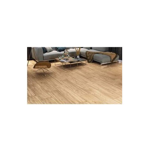 TILEZZA KER.PL. RAGGIO PALISSANDRO 30X120 Cijene