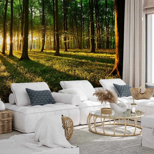  Foto tapeta - Mystical Morning 250x175 Standard Cijene