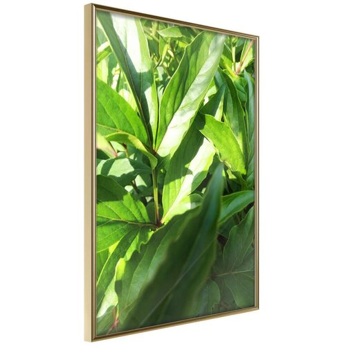  Poster - Somewhere in the Garden 40x60 Slike