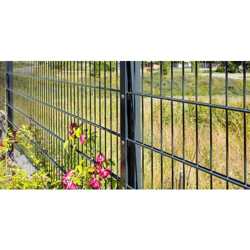2D Panelna ograda 6x5x6mm, Pocinkovana i plastificirana, 2,5x1,83m, Antracit RAL 7016 Slike