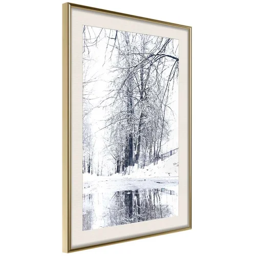  Poster - Snowy Park 40x60