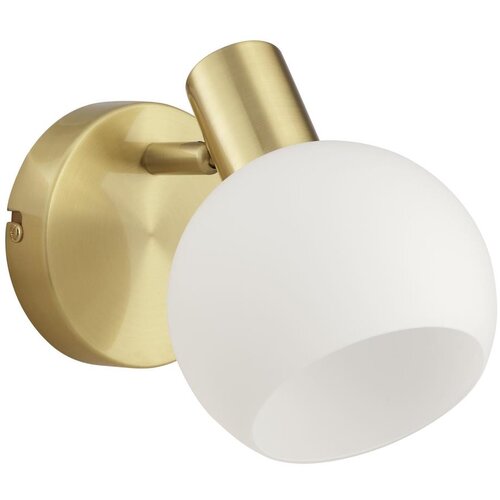 Brilliant Zidna spot svetiljka CONY 1xE14/20W/230V mesing Slike