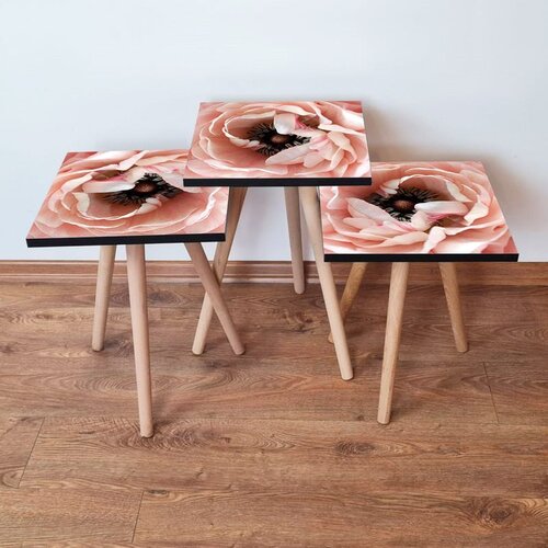 Hanah home 3Shp251 - salmon salmonbrownwhite nesting table (3 pieces) Cene