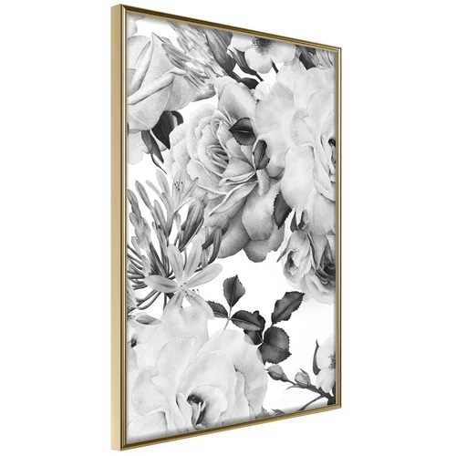  Poster - Black and White Nature 40x60