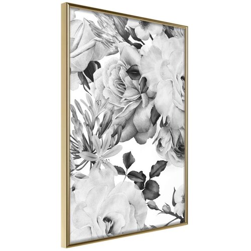  Poster - Black and White Nature 40x60 Slike